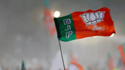 New BJP state chiefs: Party announces new leaders for seven states; inches closer to elect new national president | India News