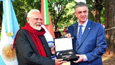 Brics backs India line on terror & UNSC reforms, slams tariffs | India News