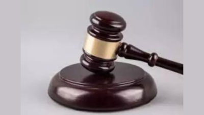 Delhi HC nixes Celebi’s plea against Centre’s curbs | India News Delhi HC nixes Celebi’s plea against Centre’s curbs | India News