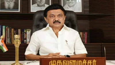 ‘Never walk Godse’s path’: Stalin urges students to understand politics, follow ideals of Gandhi, Ambedkar, Periyar | India News ‘Never walk Godse’s path’: Stalin urges students to understand politics, follow ideals of Gandhi, Ambedkar, Periyar | India News