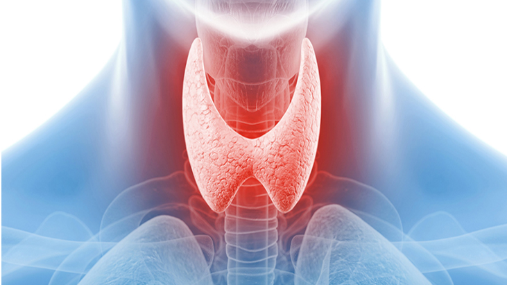 5 parts of the body where one can have Thyroid pain 5 parts of the body where one can have Thyroid pain